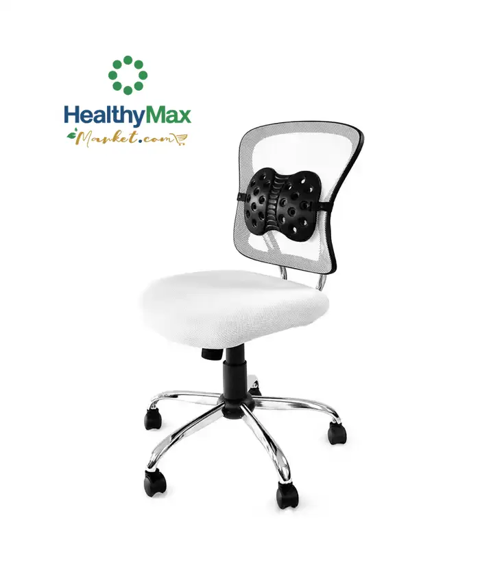 Backjoy Perfect Fit Lumbar Support Cushion : Target