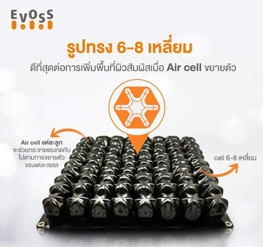 EVOSS Air Cell เบาะลมรองนั่ง - Image 2