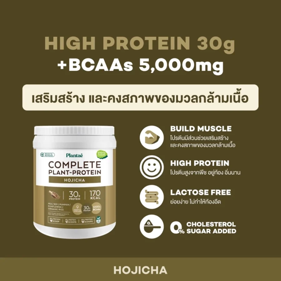 Plantae Complete Plant-Protein Powder Hojicha Flavor (800 g) - Image 2