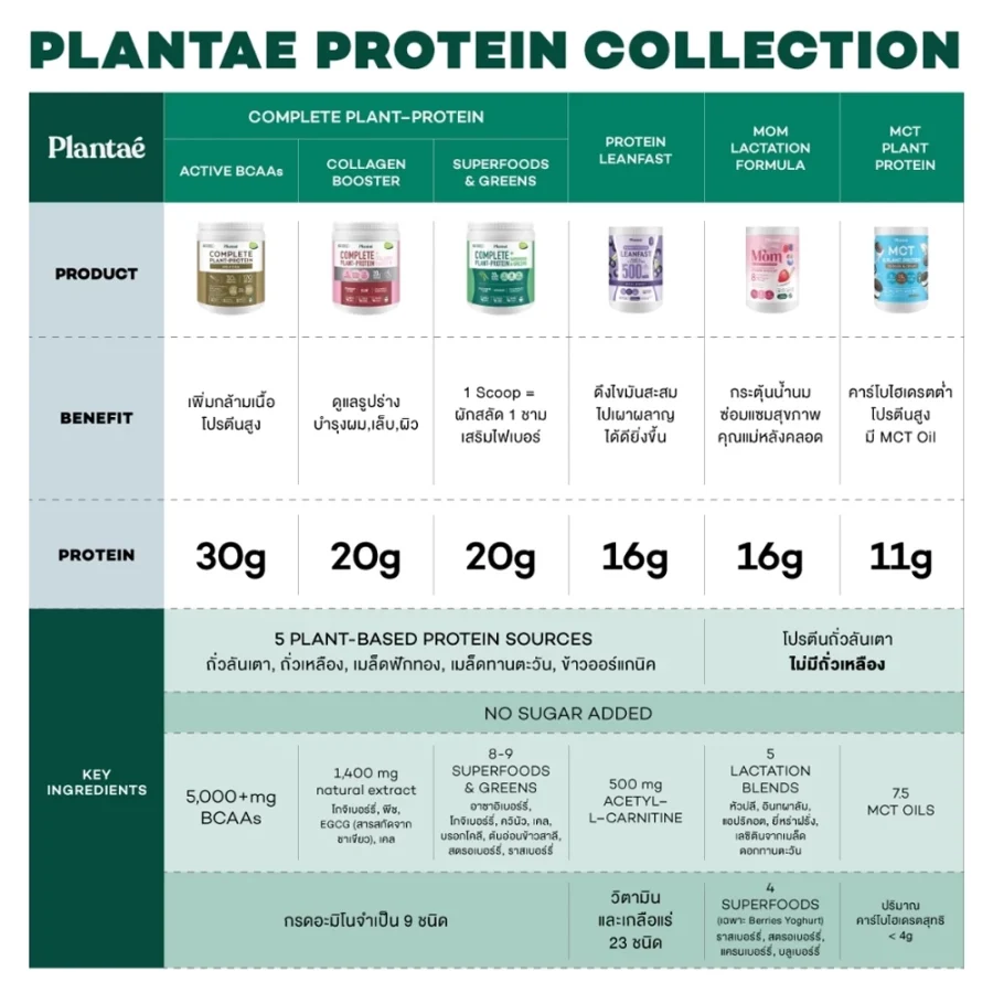 Plantae Complete Plant-Protein : Active BCAAs Coconut Latte flavor - Image 6